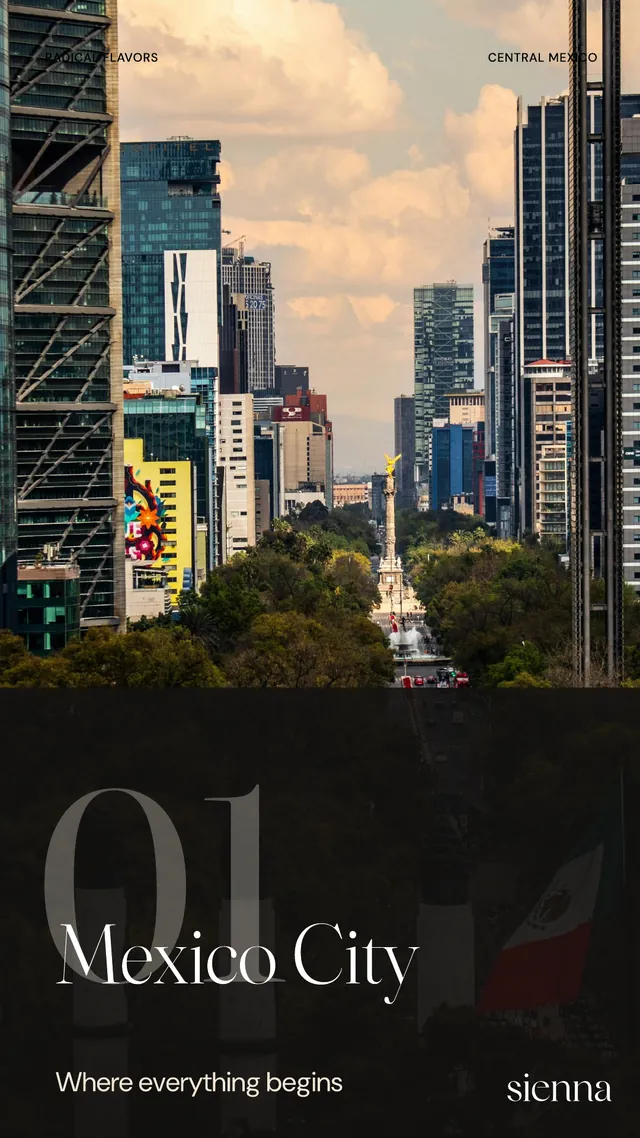 A chapter opening from the Radical Flavors book: Mexico City, where everything begins